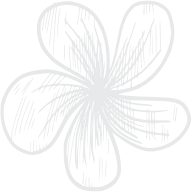 Shape Image
